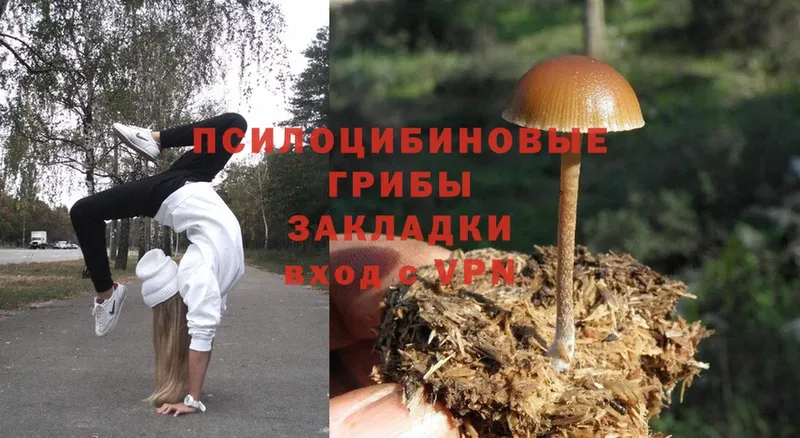 Галлюциногенные грибы GOLDEN TEACHER  blacksprut ссылки  Артёмовск 